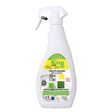 Désinfectant voiture - 750ml - Clean 100