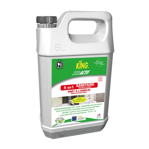 Détergent désinfectant 5 en 1 prêt à l'emploi 5L