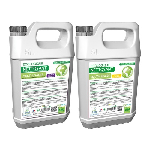 Nettoyant multi-usages King Eco'actif 5L