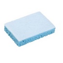 Eponge récurante douce SPONTEX
